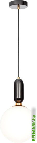 Люстра средней высоты LOFT IT 9973-B White - фото