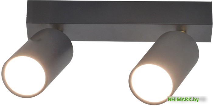 Спот Mirastyle SX-20644-2 BK+YB - фото