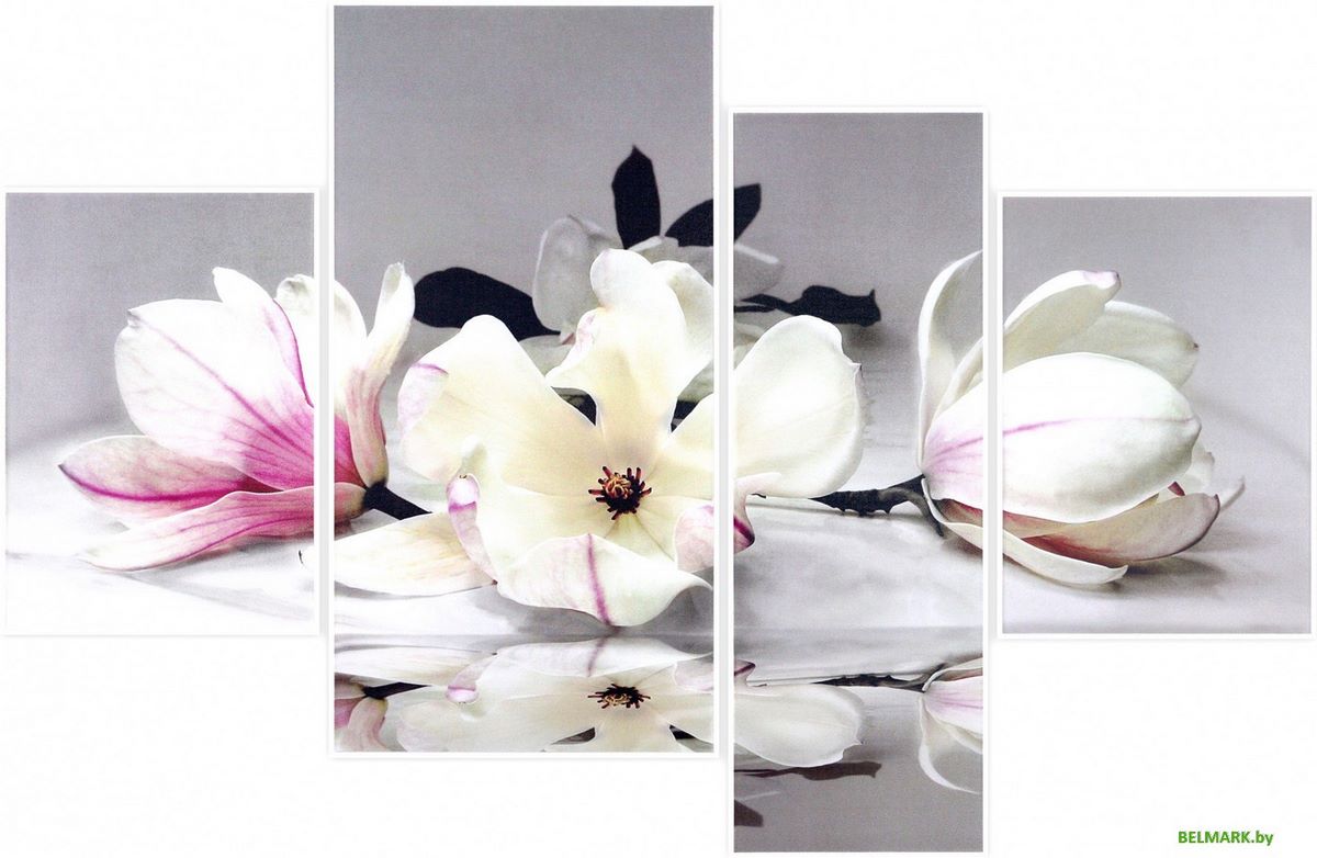 Модульная картина Декарт 8Л0685 - фото