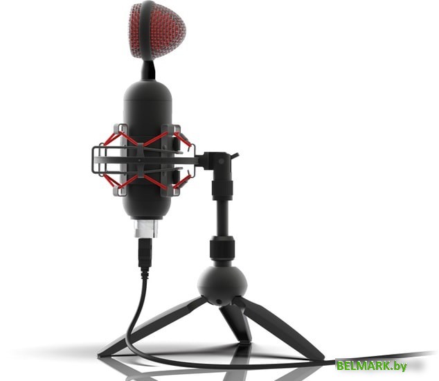 Микрофон Ritmix RDM-230 USB Eloquence - фото2