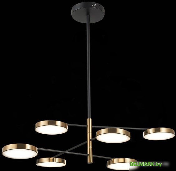 Подвесная люстра ST Luce Farone SL1605.413.06 - фото2