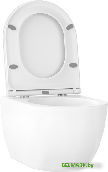 Унитаз подвесной Wellsee Chalice Perfection RimFree 182607001 (чаша, пневмокрышка, глянцевый белый) - фото2