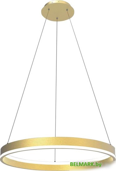 Припотолочная люстра Lightstar Rotonda 736402 - фото