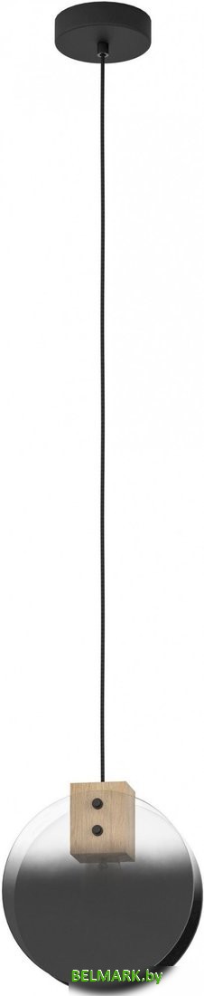 Подвесная люстра Eglo Millena 390141 - фото