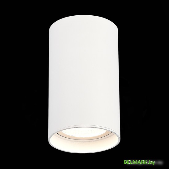 Спот ST Luce ST157.542.20 - фото2