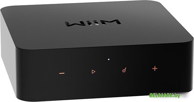 Сетевой проигрыватель WiiM Pro - фото2