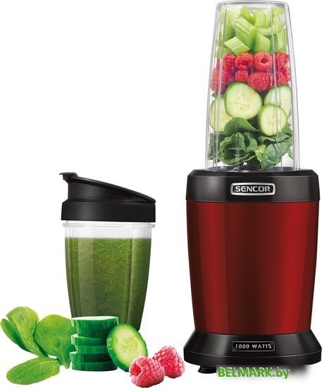 Стационарный блендер Sencor SNB 4301RD - фото