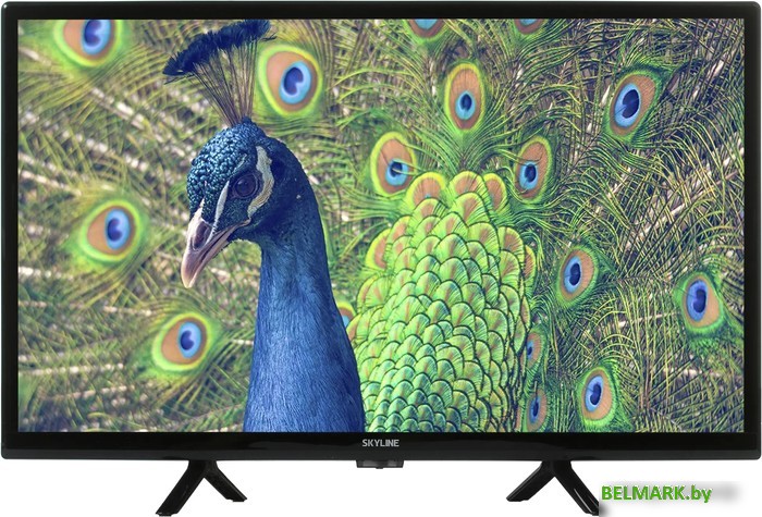 Телевизор Skyline 24YST5970 - фото