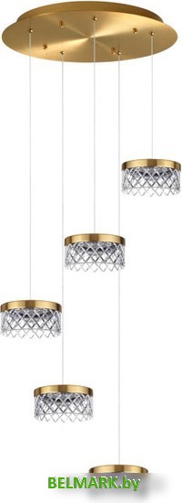 Подвесная люстра Odeon Light Fivre 5032/30L - фото