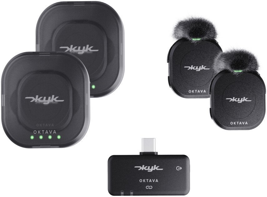 Октава Жук-2 (черный) - фото