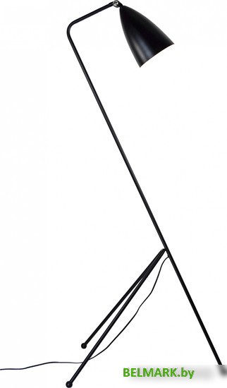 Торшер Moderli Show V10999-F - фото