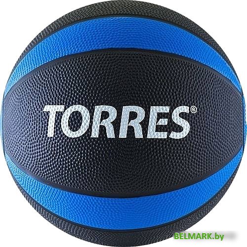 Мяч Torres AL00223 3 кг - фото