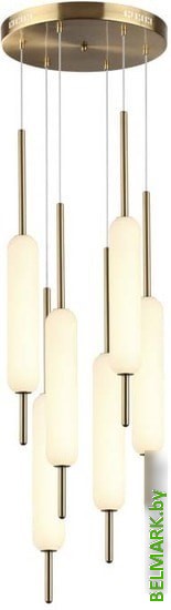 Подвесная люстра Odeon Light Reeds 4794/72L - фото