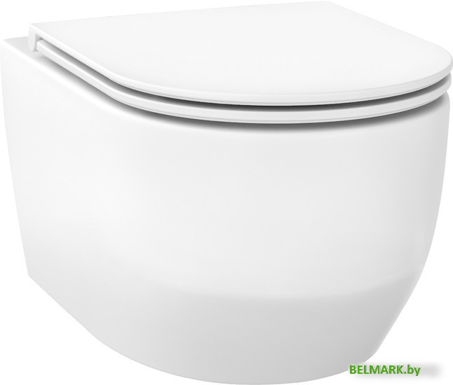 Унитаз подвесной Wellsee Croquis RimFree 182611001 (чаша, пневмокрышка, глянцевый белый) - фото