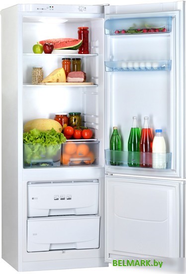 Холодильник POZIS RK-102 (бежевый) - фото2