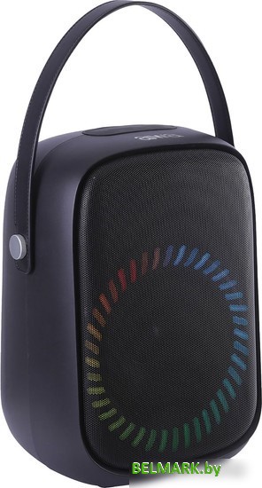 Беспроводная колонка Aiwa PAS-Y600 - фото2