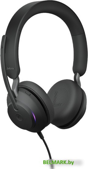 Офисная гарнитура Jabra Evolve2 40 SE MS Duo USB-A - фото2