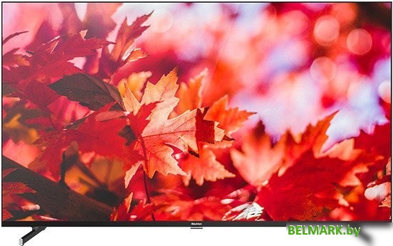 Телевизор Blackton Bt 50FSU42B - фото
