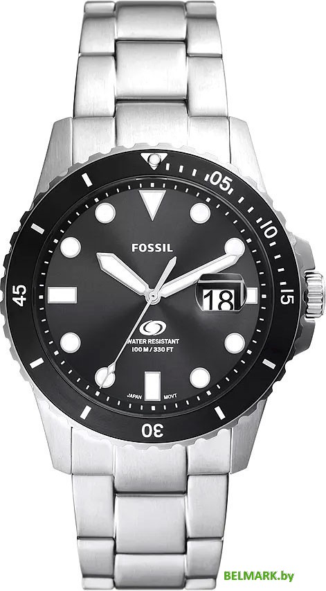 Наручные часы Fossil FS6032 - фото