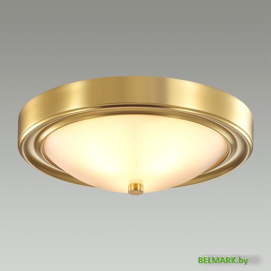 Припотолочная люстра Lumion Nina 5259/2C - фото2