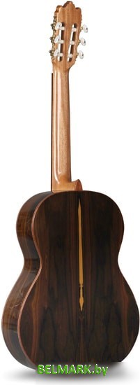 Акустическая гитара Alhambra Student Iberia Ziricote - фото2