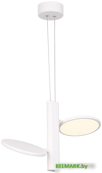 Подвесная люстра Lussole Aberdeen LSP-7085 - фото