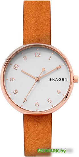 Наручные часы Skagen SKW2624 - фото