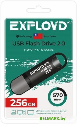 USB Flash Exployd 570 256GB (черный) - фото