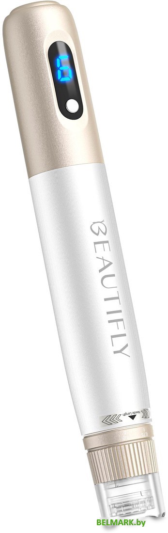Прибор для мезотерапии Beautifly SkinRenew Pro - фото