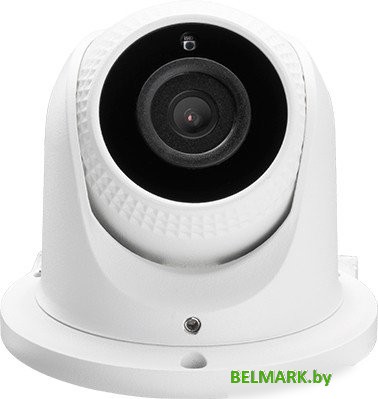 IP-камера ZKTeco ES-854N21C-S7-MI - фото