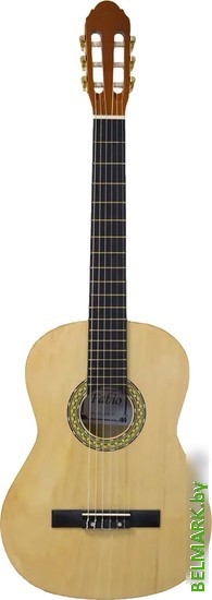 Акустическая гитара Fabio FB3910 N - фото