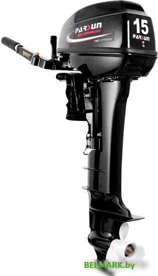 Лодочный мотор Parsun T15 BMS - фото