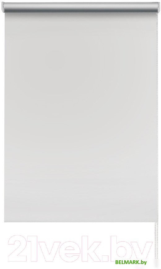 Рулонные шторы Эскар Вlackout 210x160 814652101601 (белый) - фото