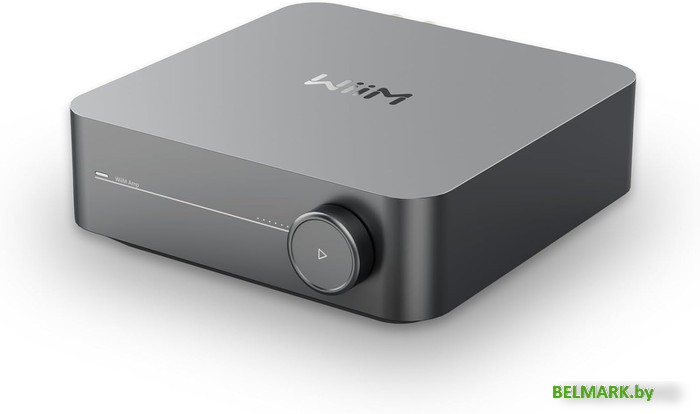 Сетевой интегральный усилитель WiiM Amp (серый) - фото2